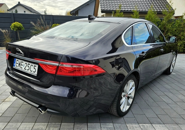 Jaguar XF cena 82900 przebieg: 53500, rok produkcji 2016 z Łódź małe 92